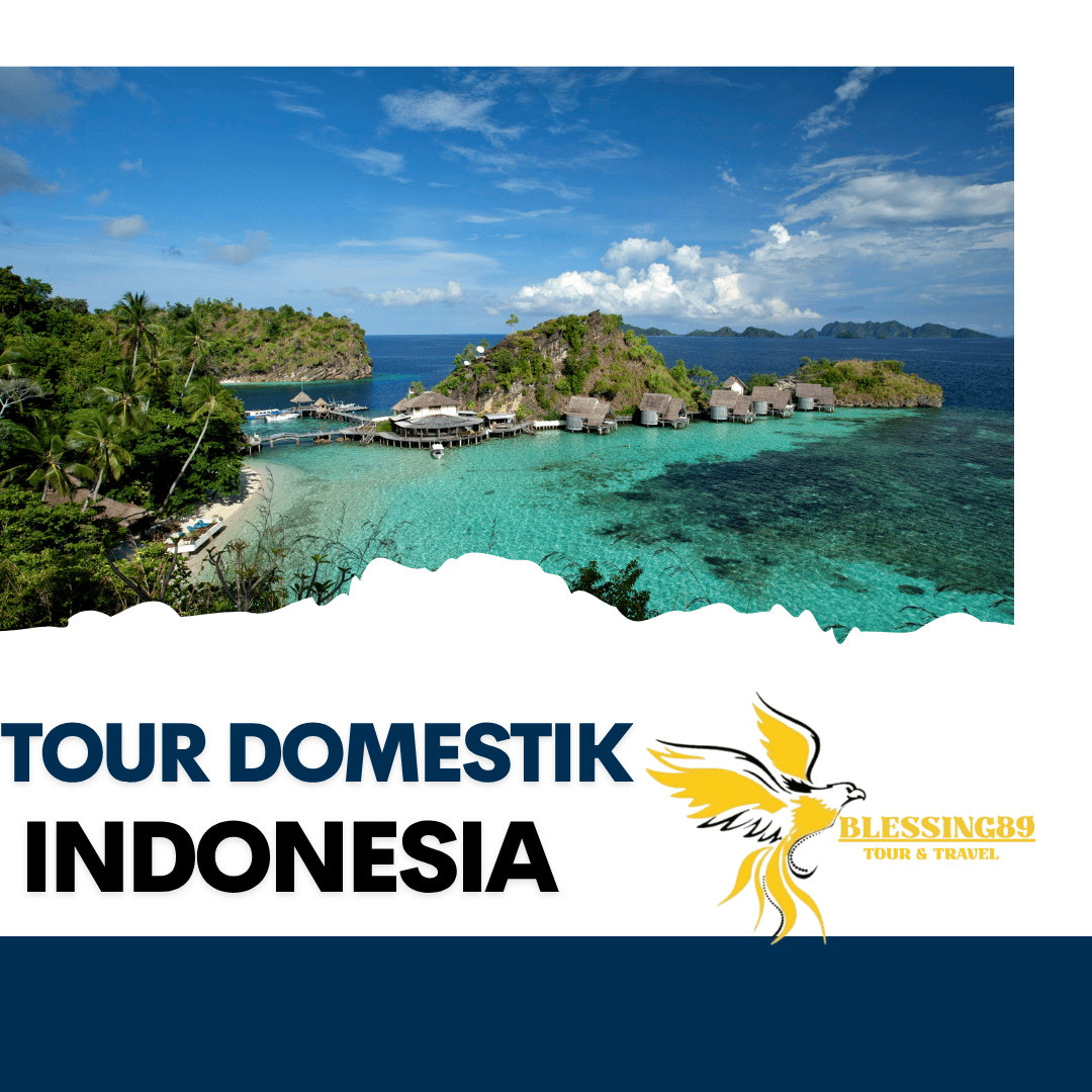 Tour Domestik