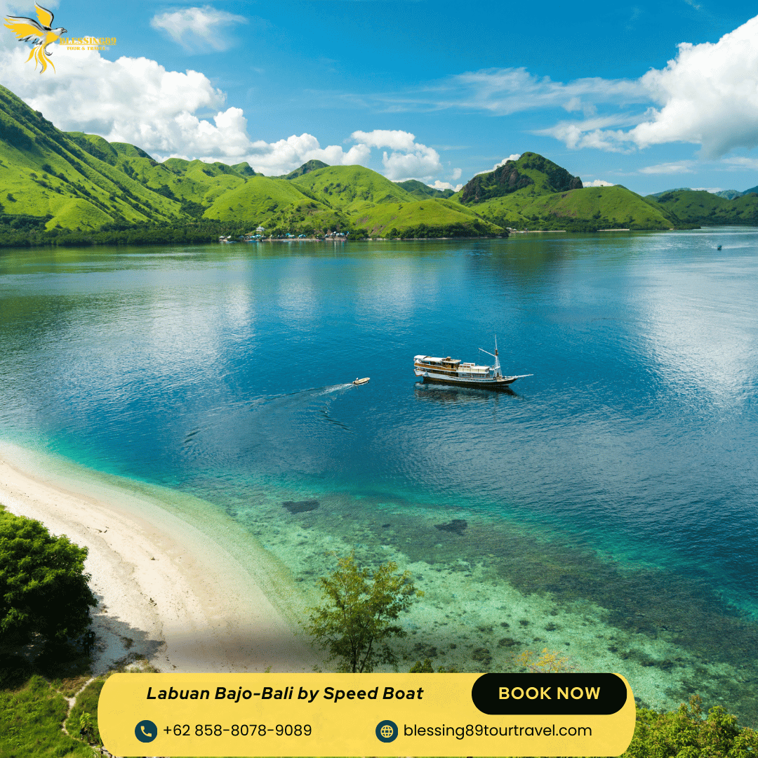 Open Trip Labuan Bajo By Speed Boat