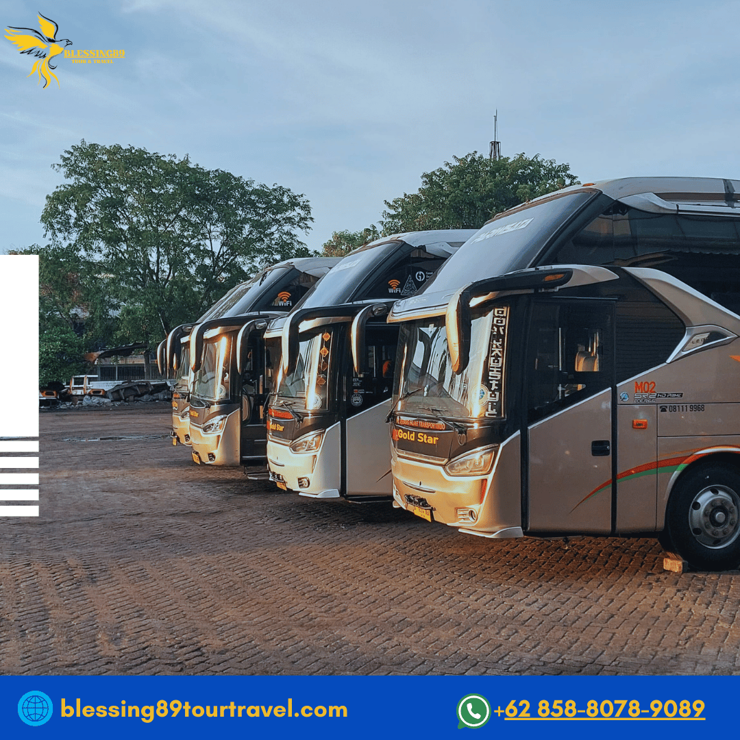 Gold Star-Big Bus 50 Seat 2-2