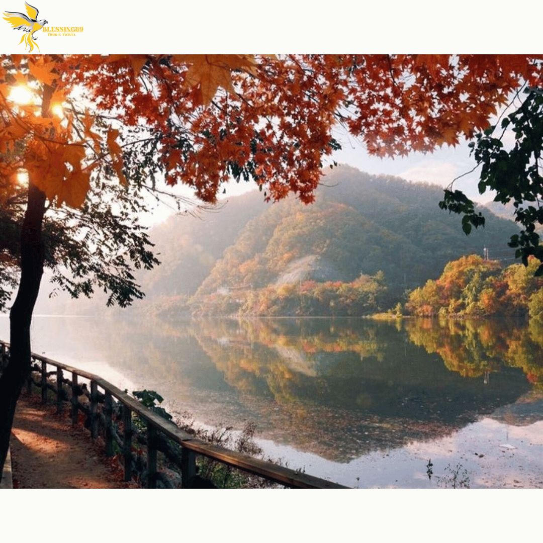 CRAZY SALE KOREA TOUR 5D4N