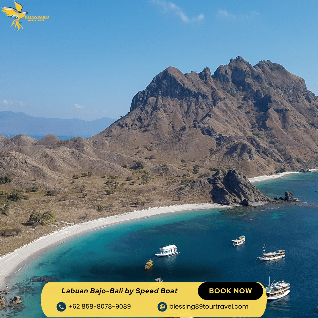 Open Trip Labuan Bajo By Speed Boat