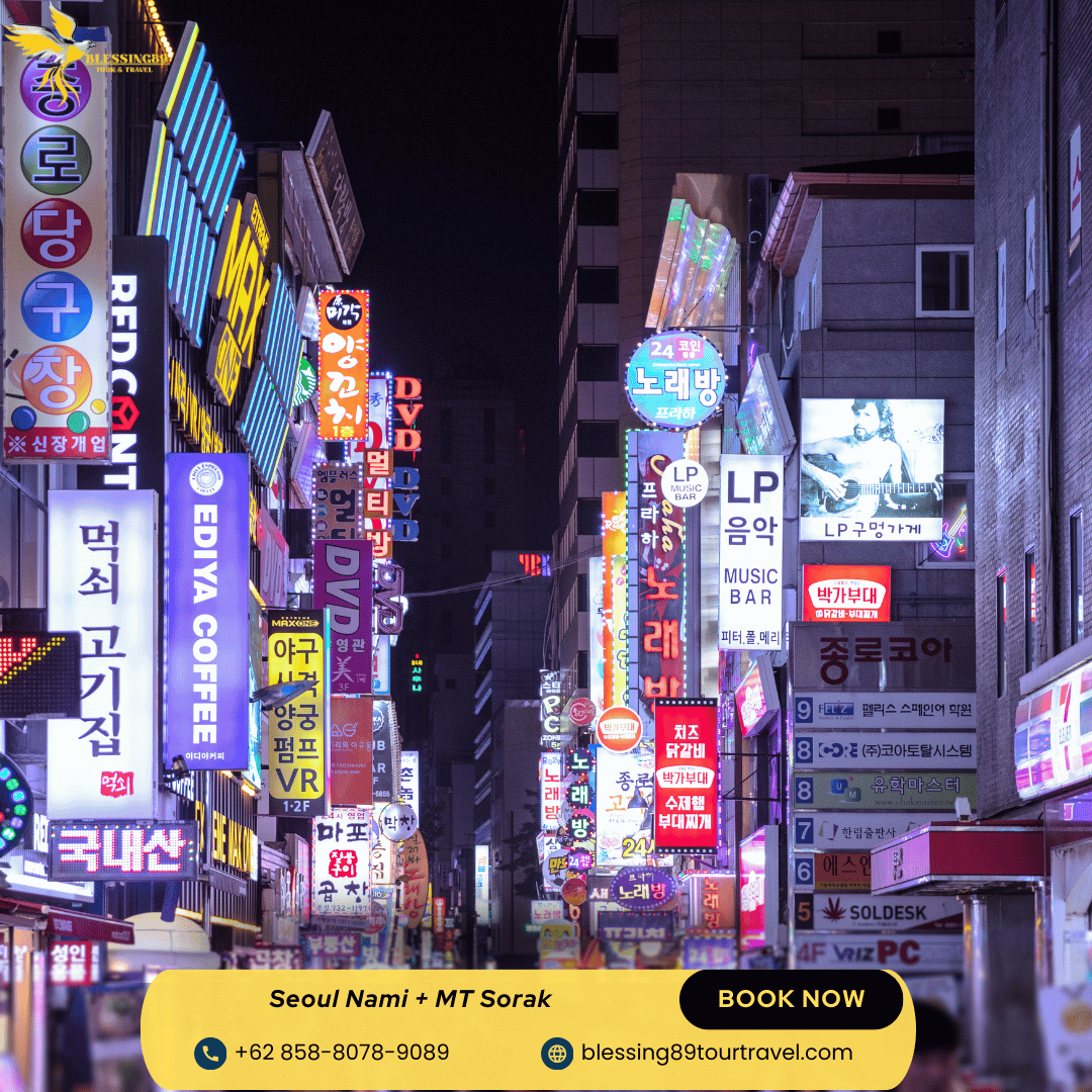 6 D Seoul Nami  + MT Sorak