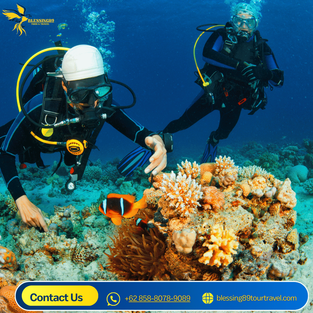 SSI OPEN WATER SCUBA DIVING COURSE