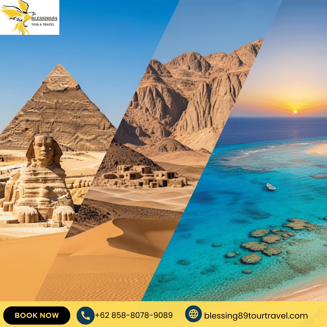 Journey To The 2025 Holylland