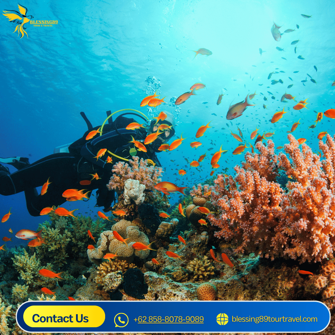 SSI OPEN WATER SCUBA DIVING COURSE