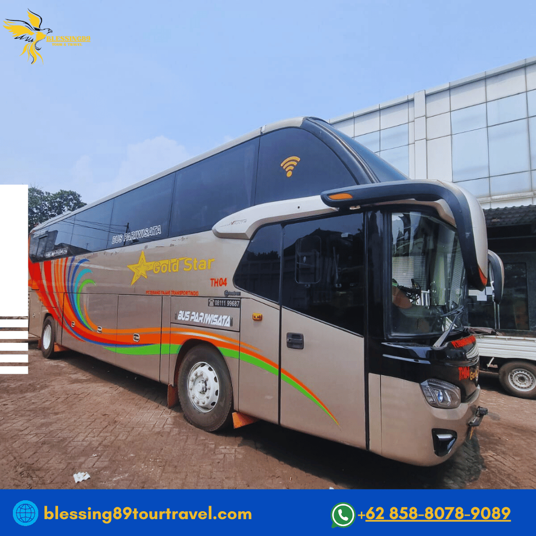 Gold Star-Big Bus 50 Seat 2-2