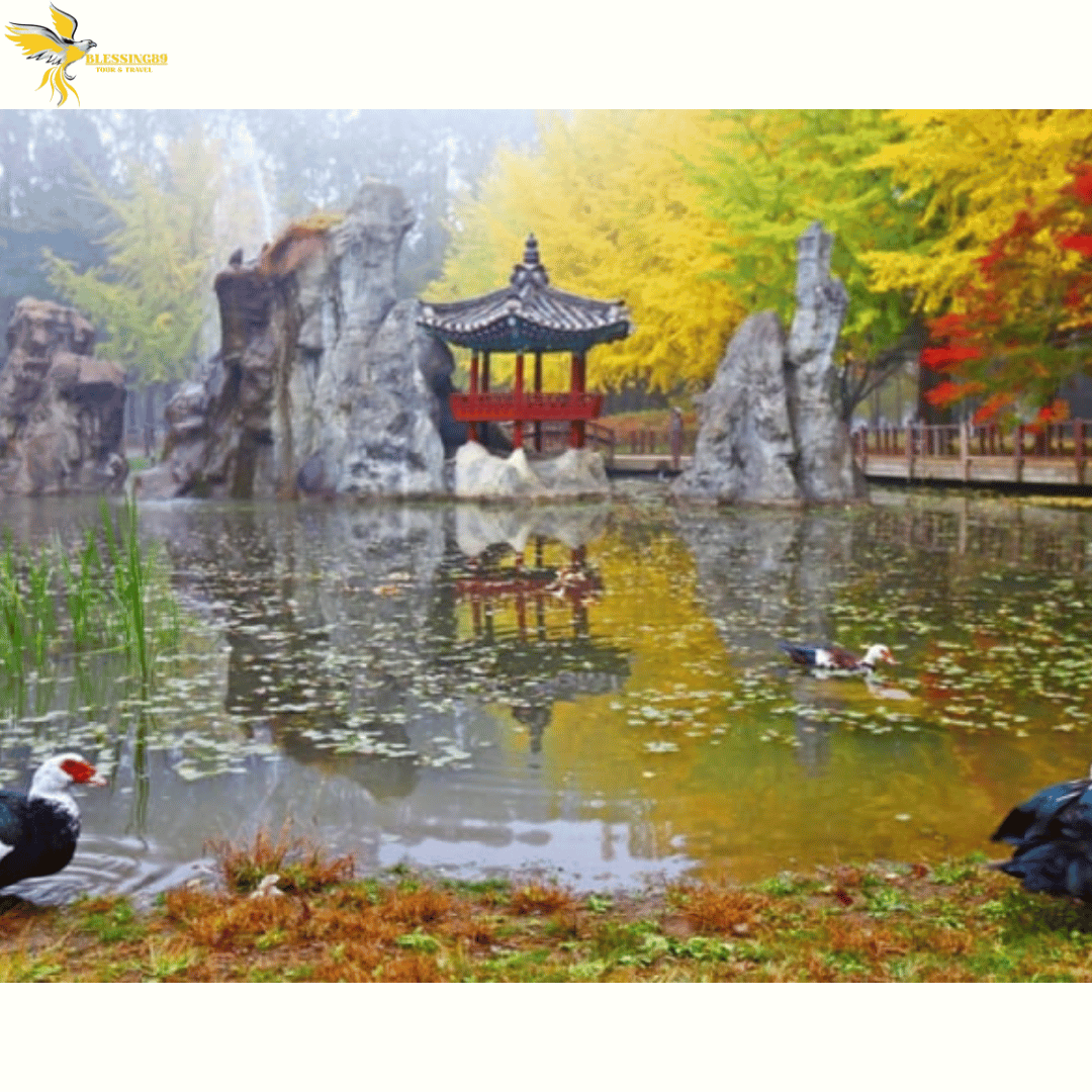 SHOCKING SALE KOREA 6D