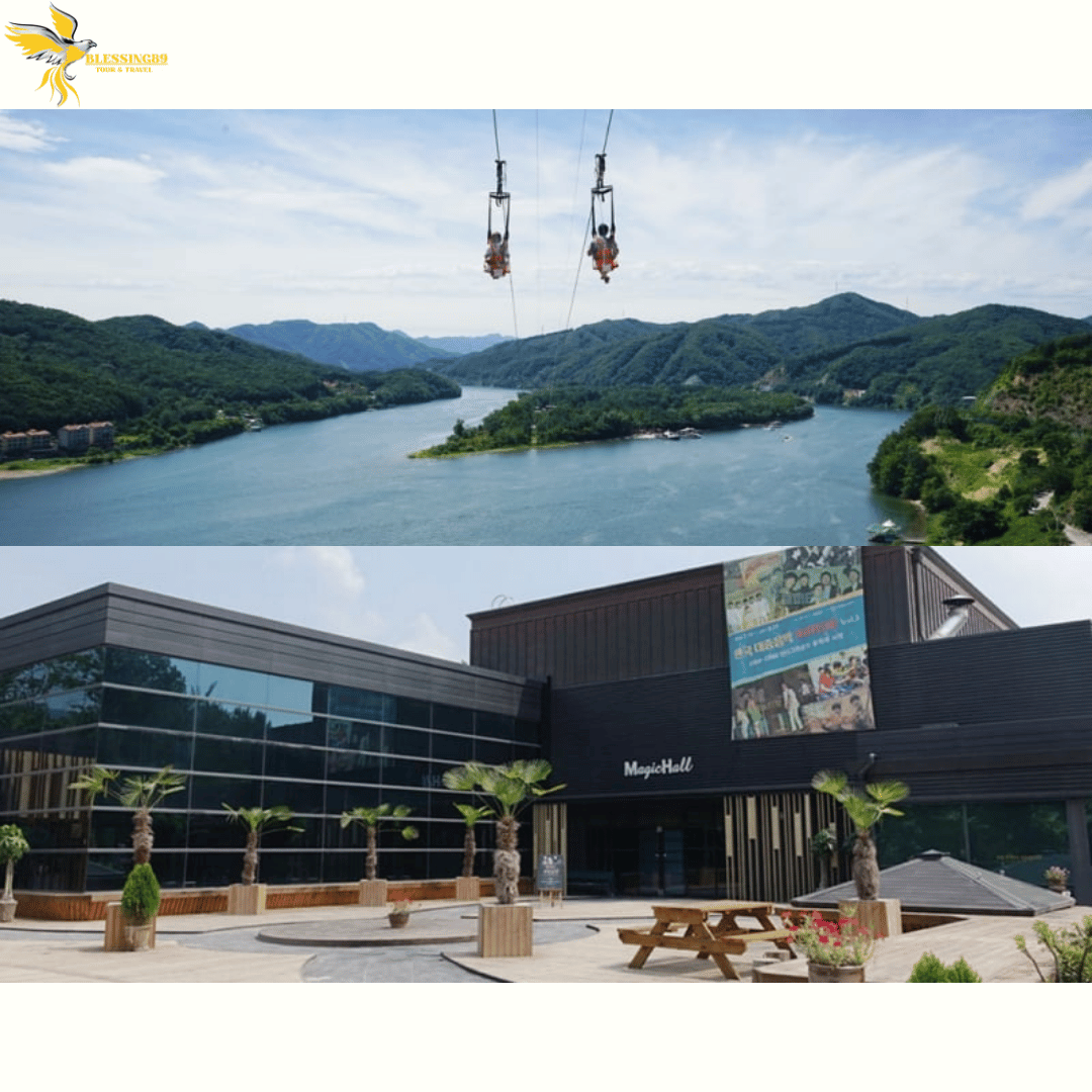 SHOCKING SALE KOREA 6D