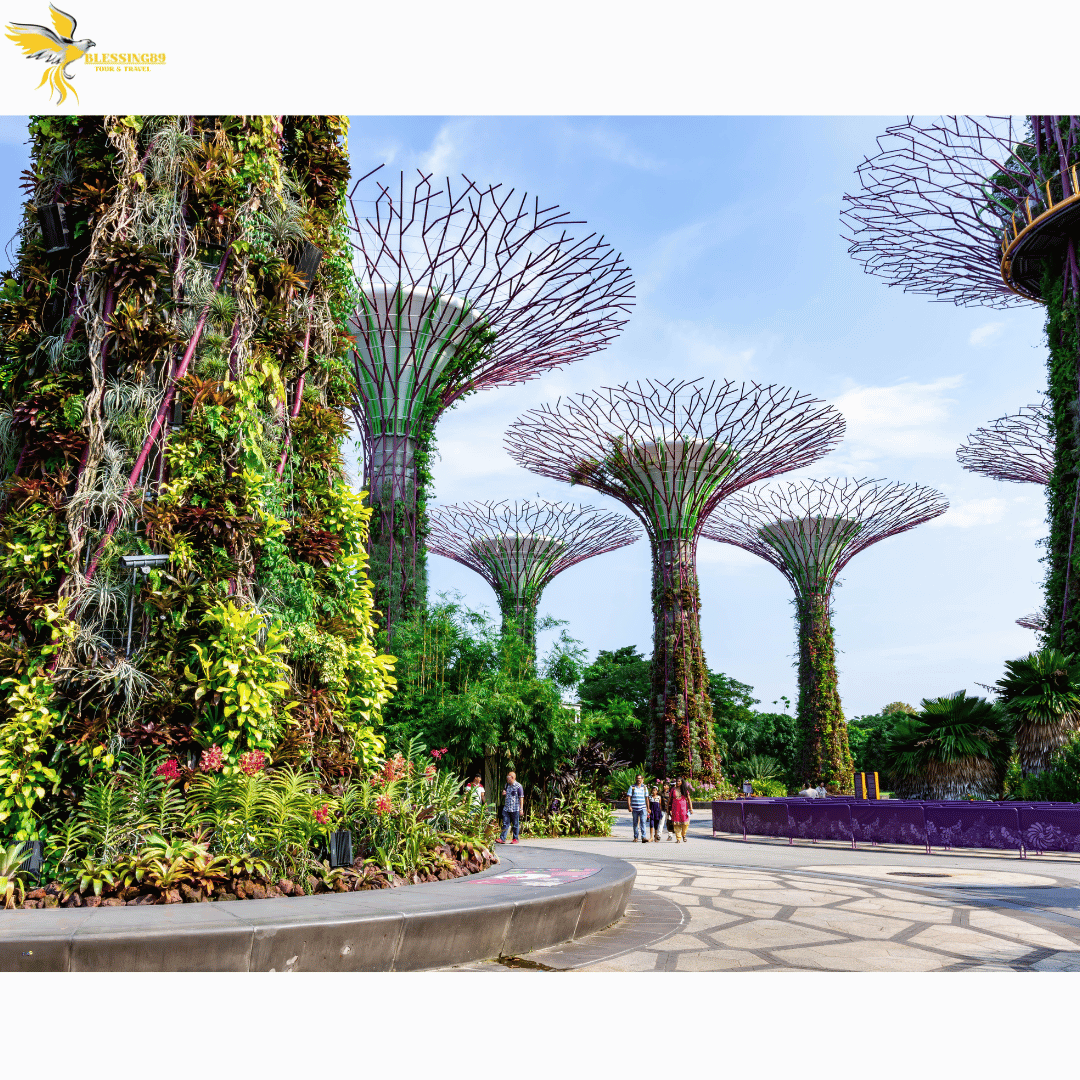 One Day Tour Singapore