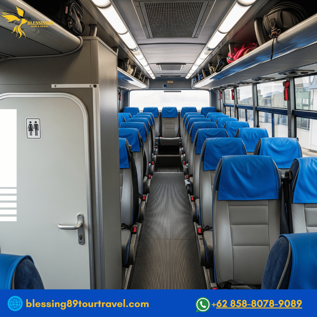 Gold Star-Big Bus 50 Seat 2-2