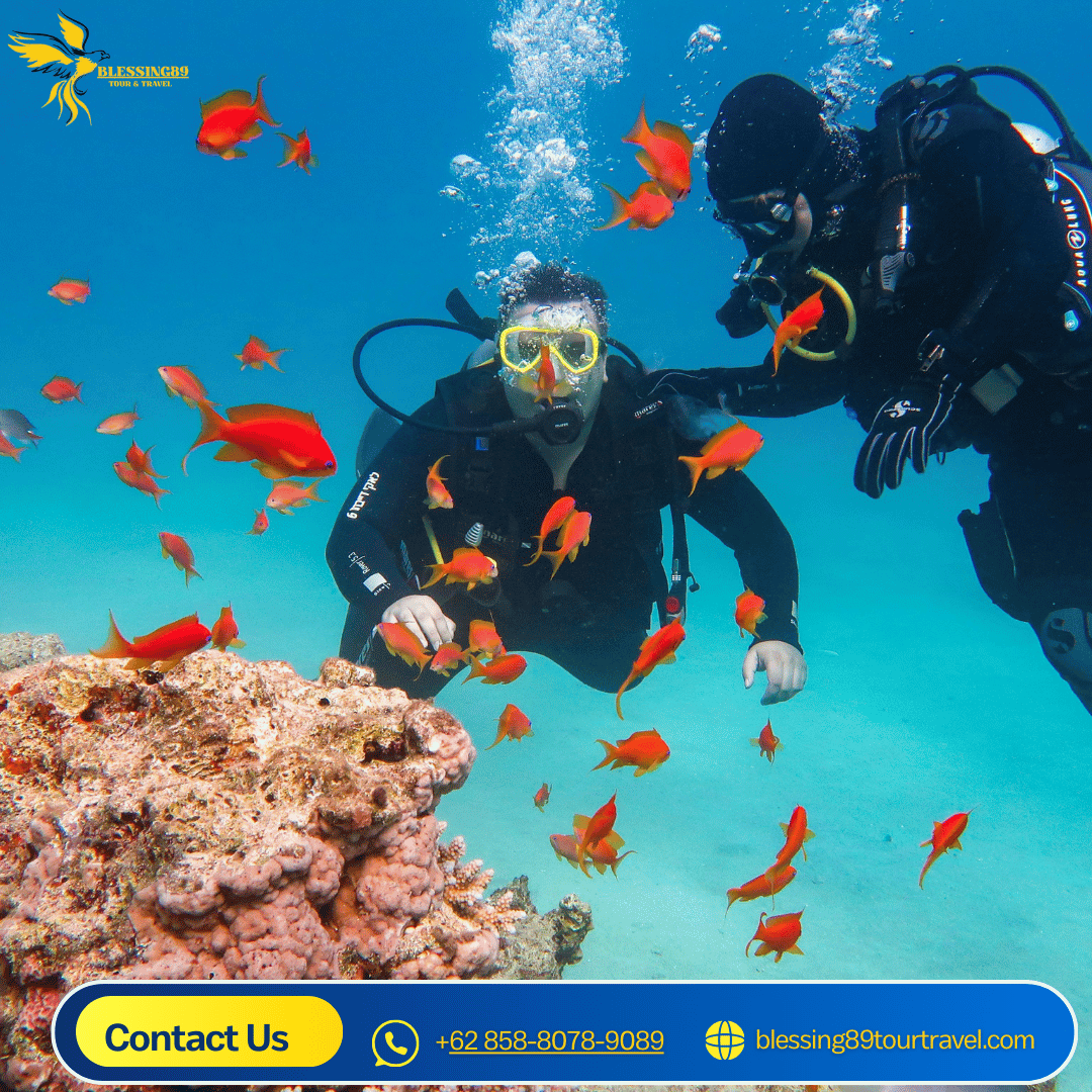 SSI OPEN WATER COURSE AT PRAMUKA ISLAND (DIRECT)