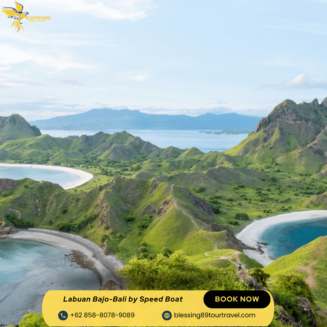 Open Trip Labuan Bajo By Speed Boat
