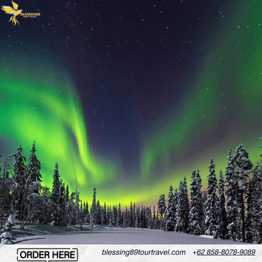 Pembuatan Visa Finlandia