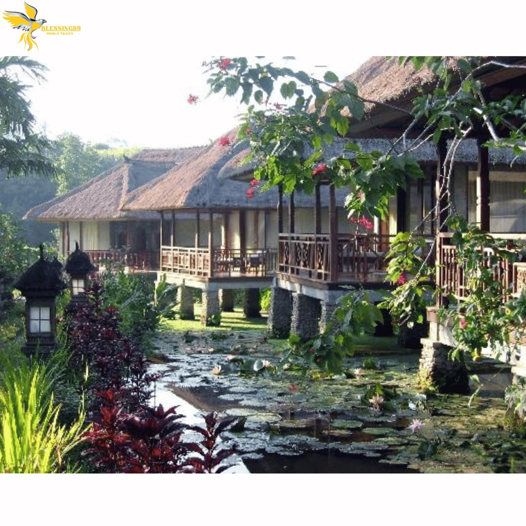 Explore Bedugul - Bali