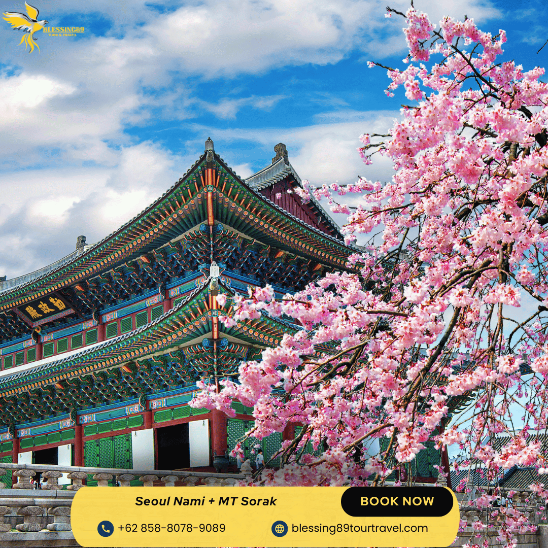 6 D Seoul Nami  + MT Sorak