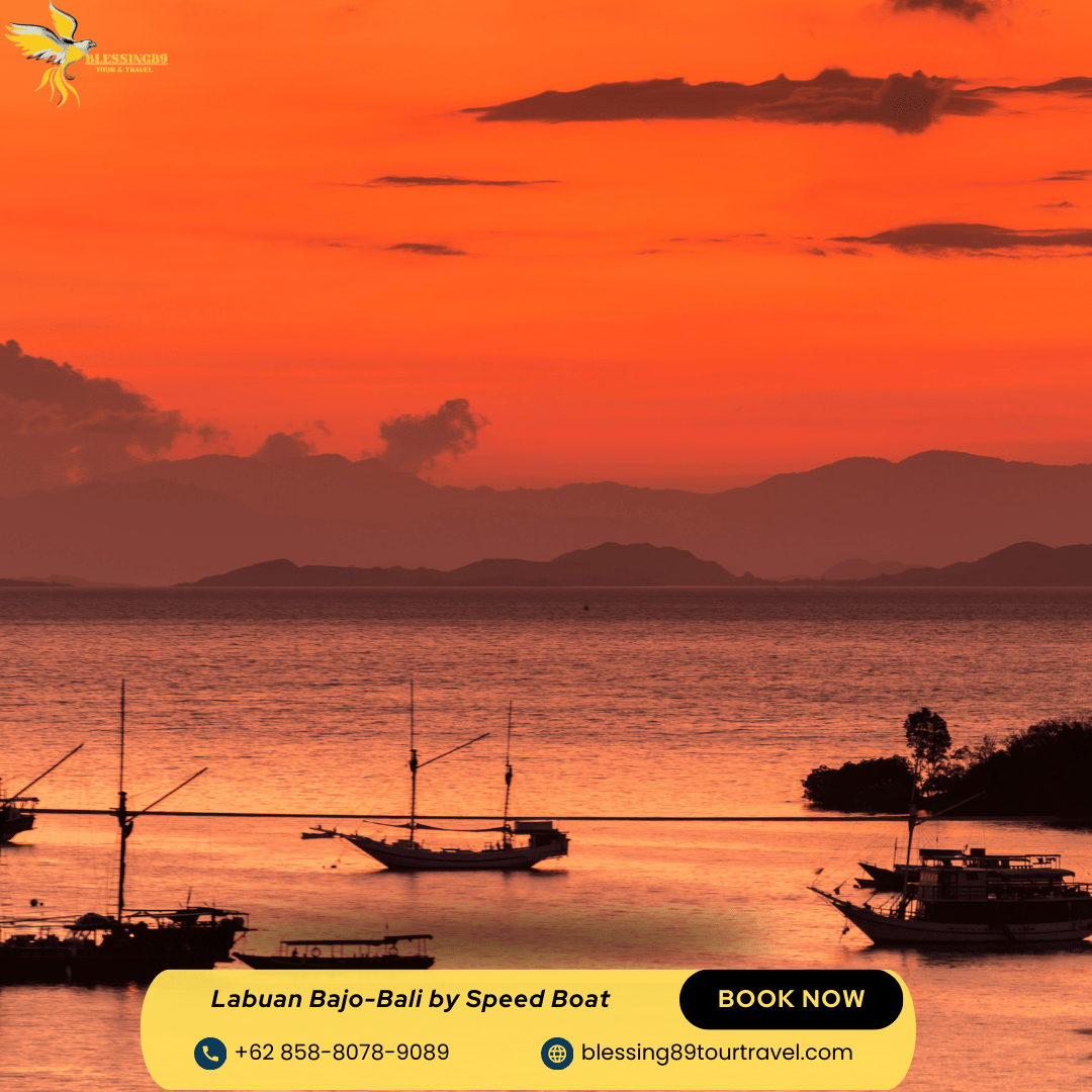 Open Trip Labuan Bajo By Speed Boat