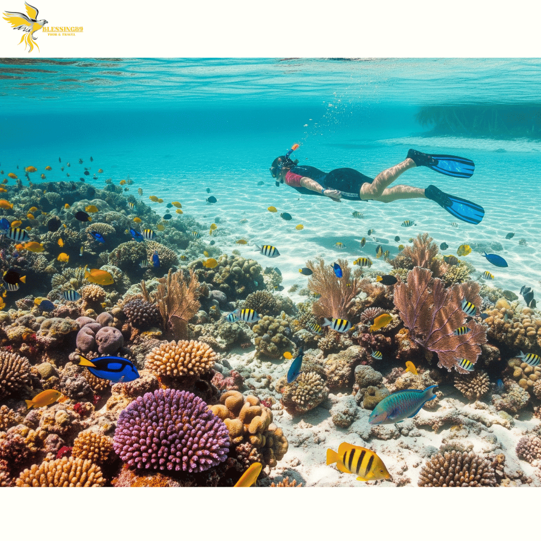 Wisata Lampung Pulau Wayang 4D 3N