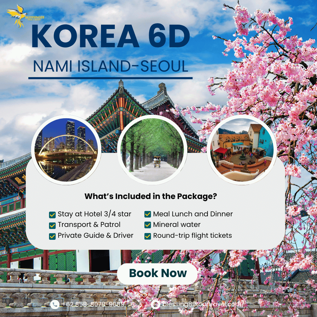 SHOCKING SALE KOREA 6D