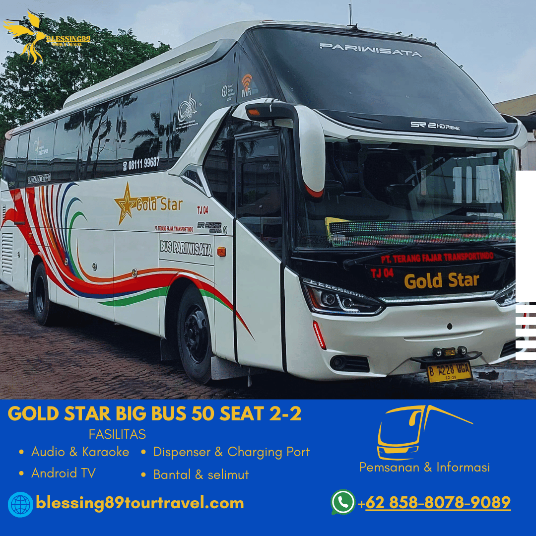 Gold Star-Big Bus 50 Seat 2-2