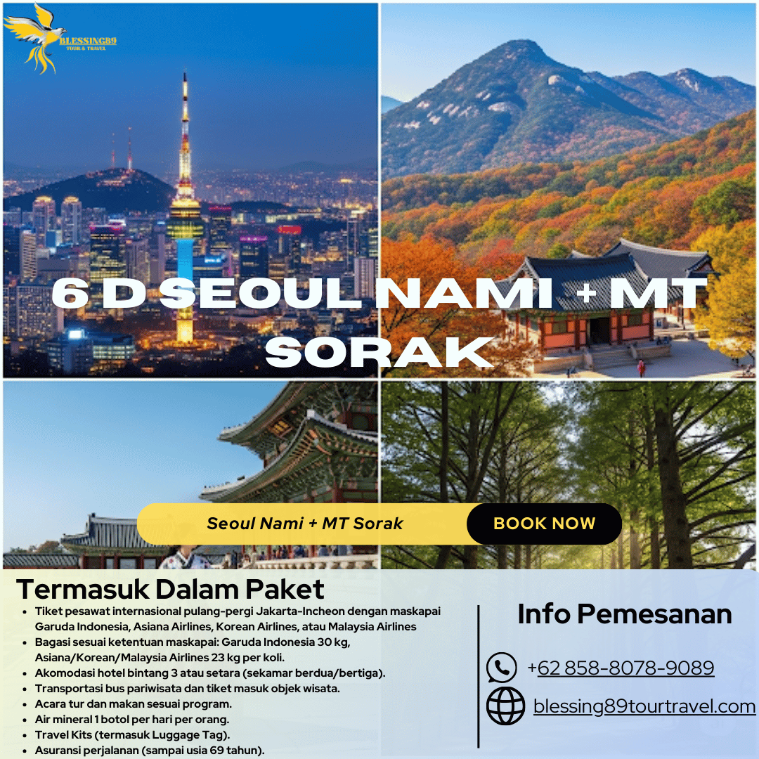 6 D Seoul Nami  + MT Sorak