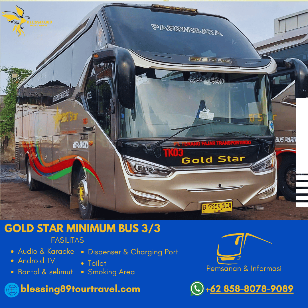 Gold Star-Minimum Bus 3/3 Seat