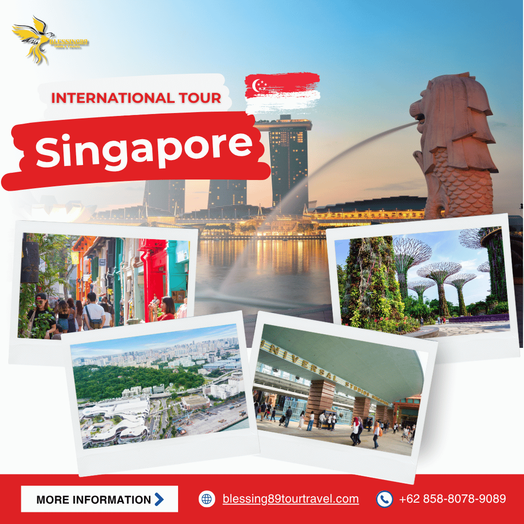 Tour Singapore