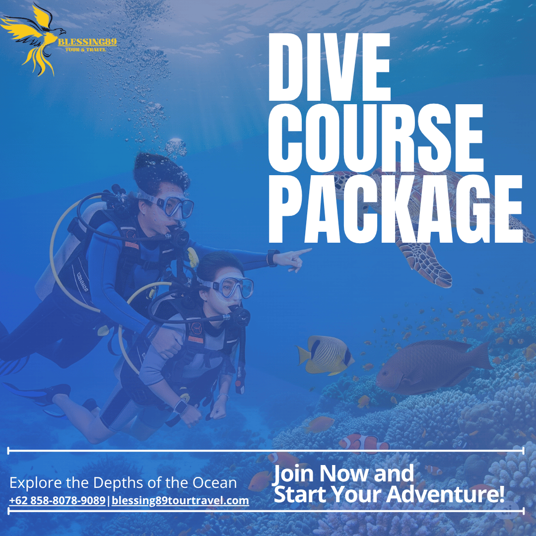 Dive Course Package